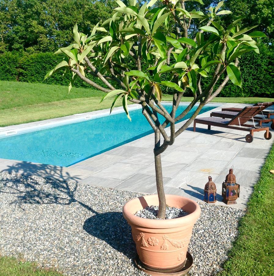 Alla Gazza Ladra Bed & Breakfast Prato Sesia Bilik gambar